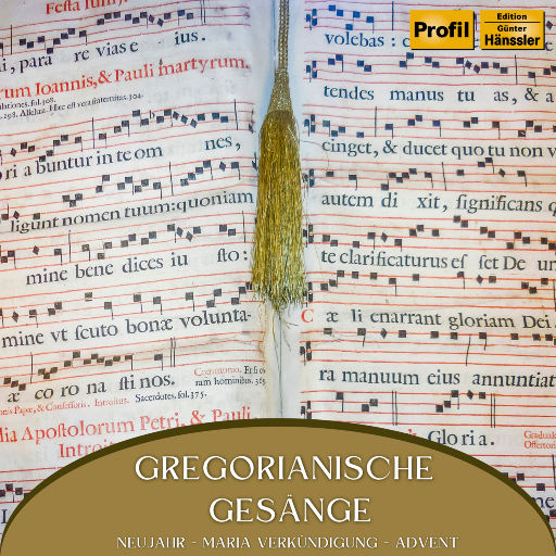 男男纯肉Gay无码视频
